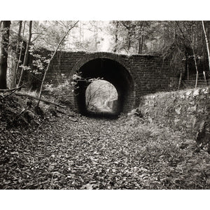 One Way Bridge print