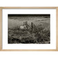 Sheep print in natural frame