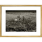 Sheep print in gold frame