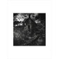 Staups Mill print unframed