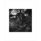 Staups Mill print unframed