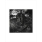 Staups Mill print unframed