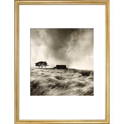 Top Withens print in gold frame