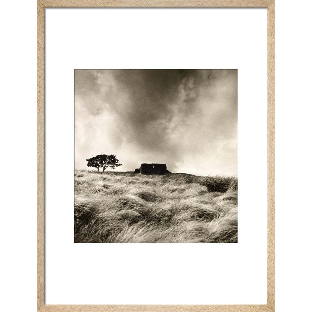 Top Withens print in natural frame