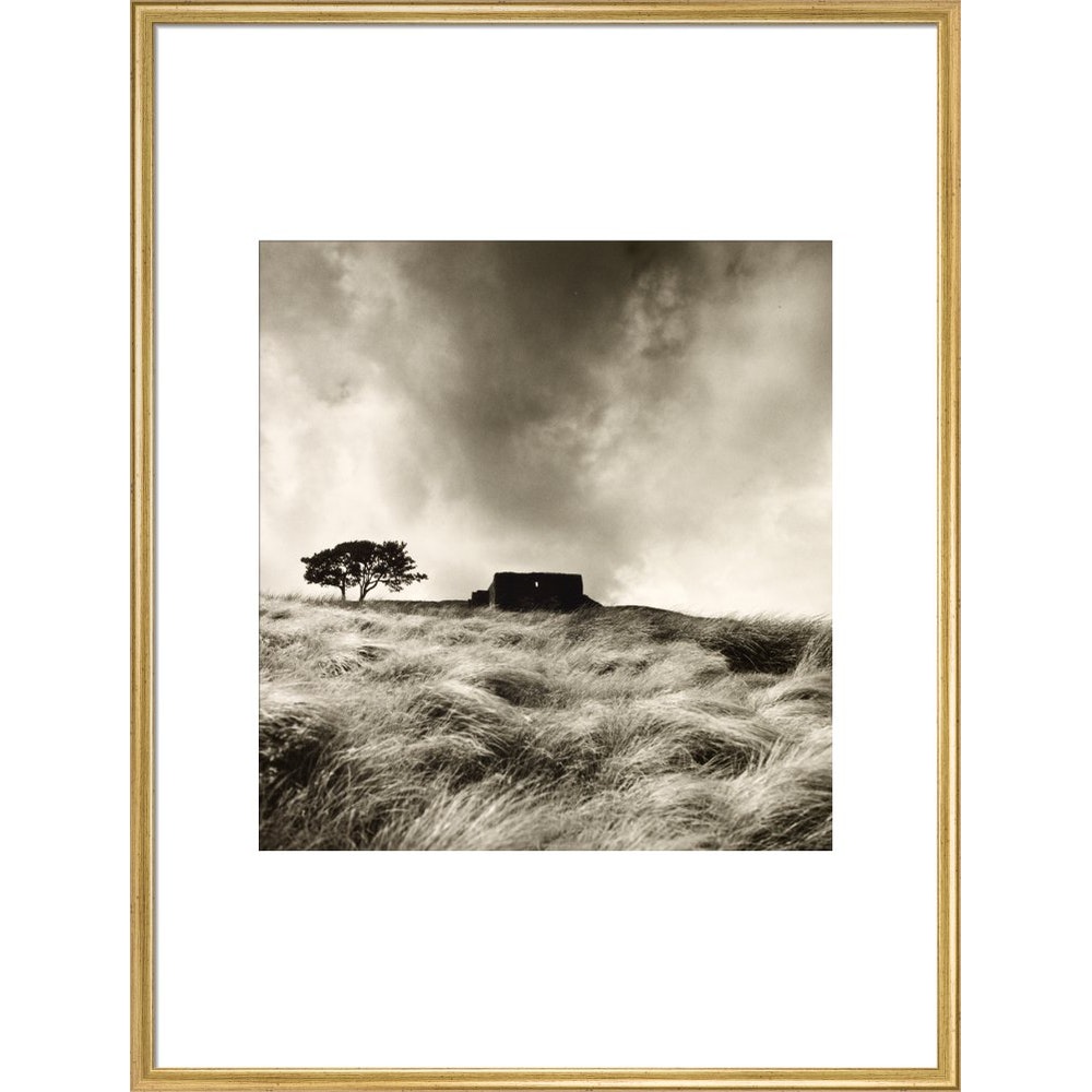 Top Withens print in gold frame