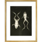 X-Ray Photograph of Frogs print in gold frame