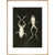 X-Ray Photograph of Frogs print in natural frame