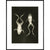 X-Ray Photograph of Frogs print in black frame