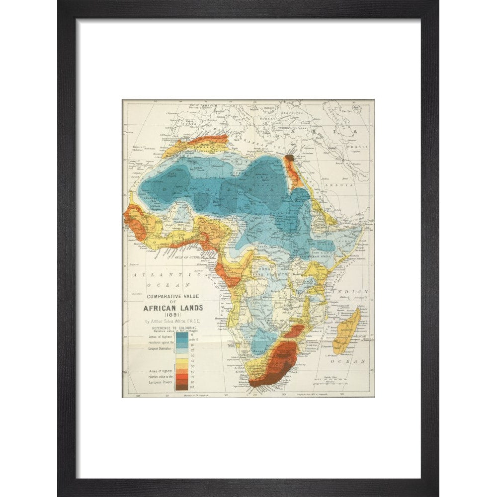 Africa print in black frame