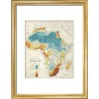 Africa print in gold frame