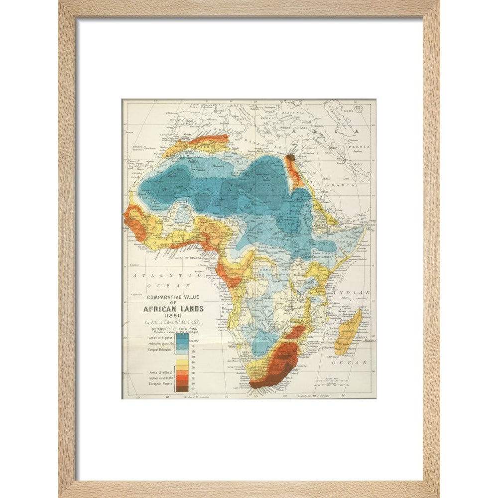 Africa print in natural frame