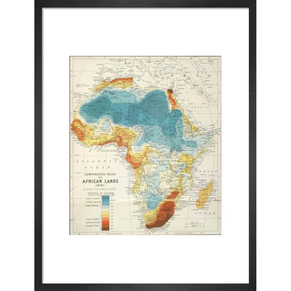 Africa print in black frame