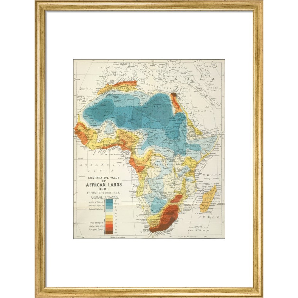Africa print in gold frame
