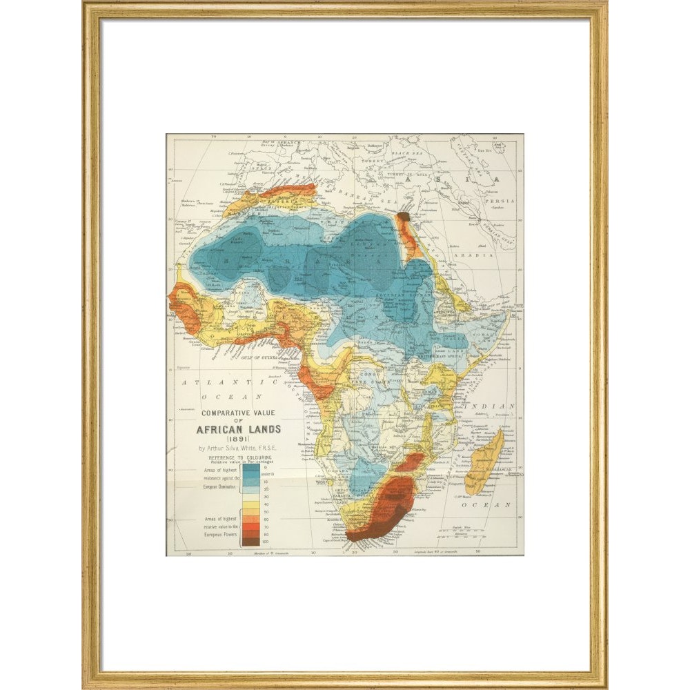 Africa print in gold frame