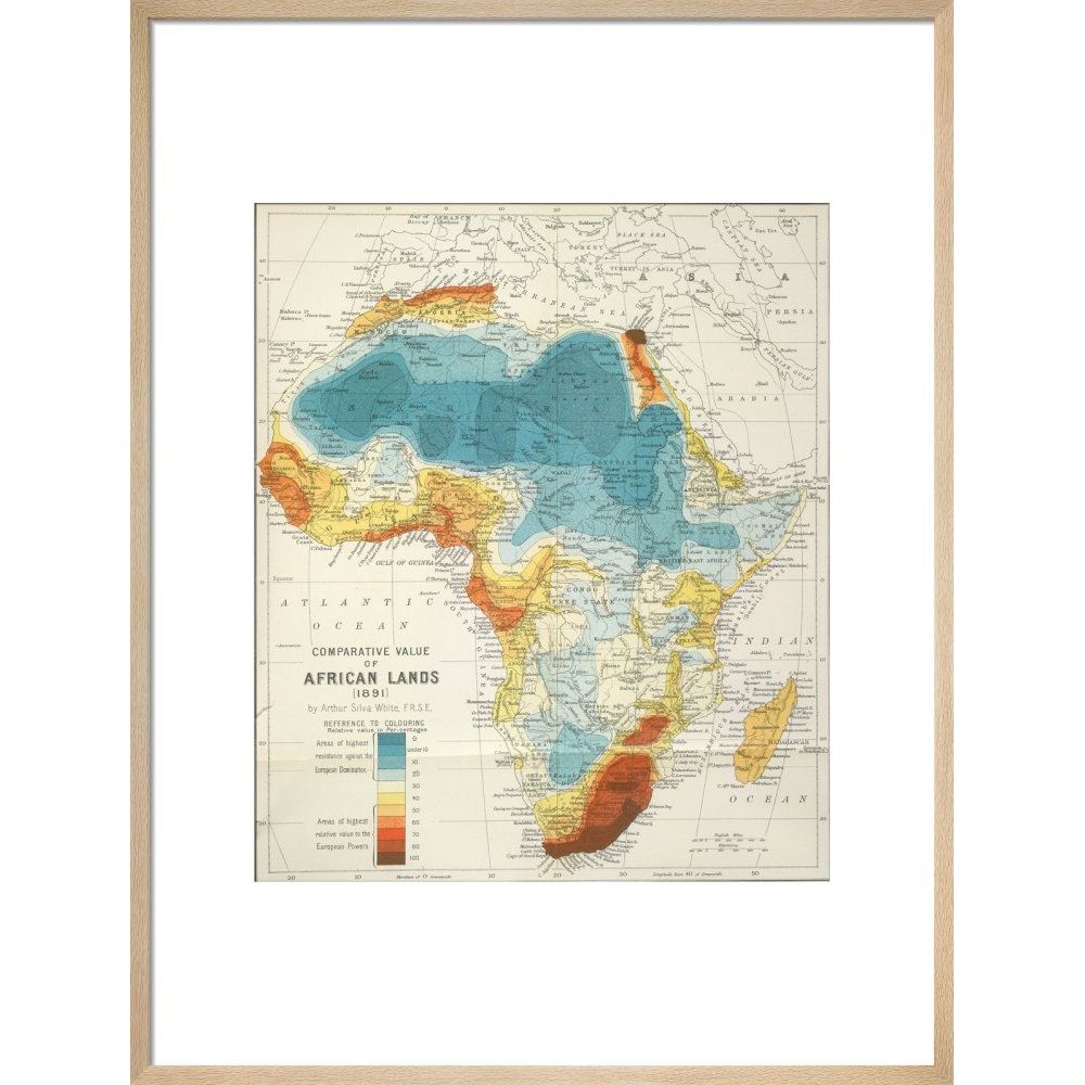 Africa print in natural frame