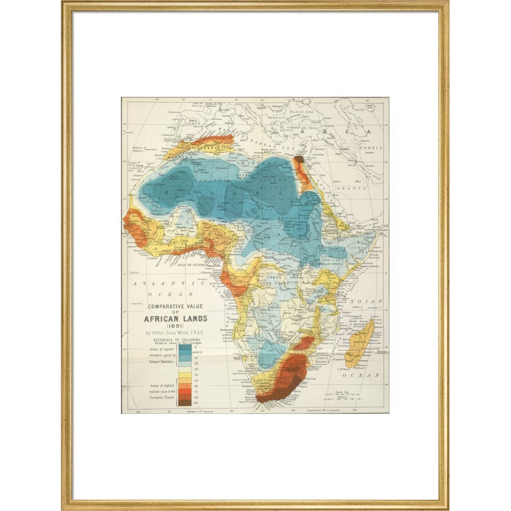 Africa print in gold frame