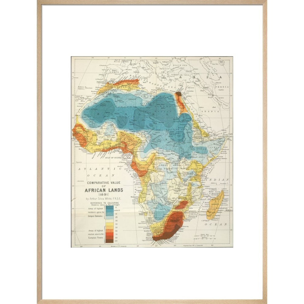 Africa print in natural frame