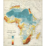Africa print
