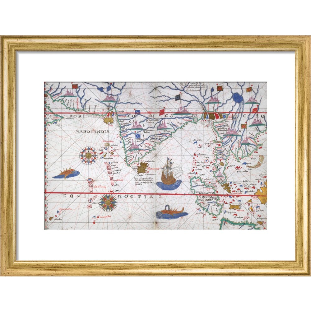 Chart of the Indian Ocean print in gold frame