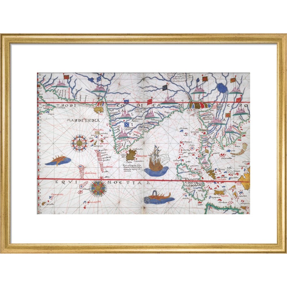 Chart of the Indian Ocean print in gold frame