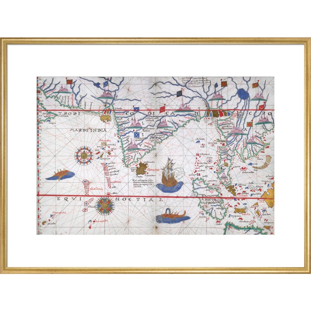 Chart of the Indian Ocean print in gold frame