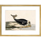 The Seal print in gold frame
