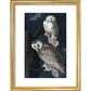 Snowy Owl print in gold frame