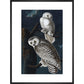Snowy Owl print in black frame