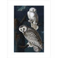 Snowy Owl print unframed