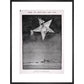 The Star of the Christmas season print in black frame