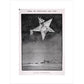 The Star of the Christmas season print unframed