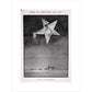 The Star of the Christmas season print unframed