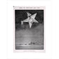 The Star of the Christmas season print unframed
