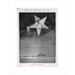 The Star of the Christmas season print unframed