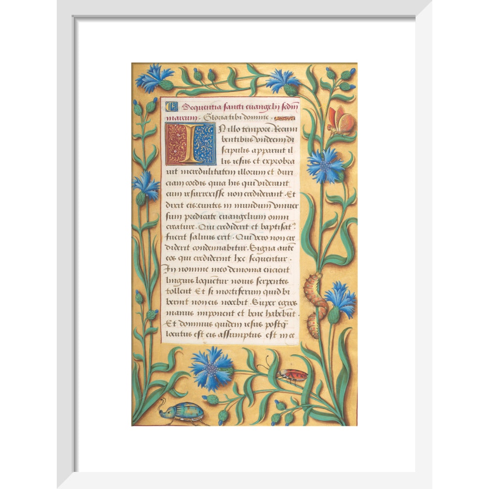 Book of Hours print in white frame