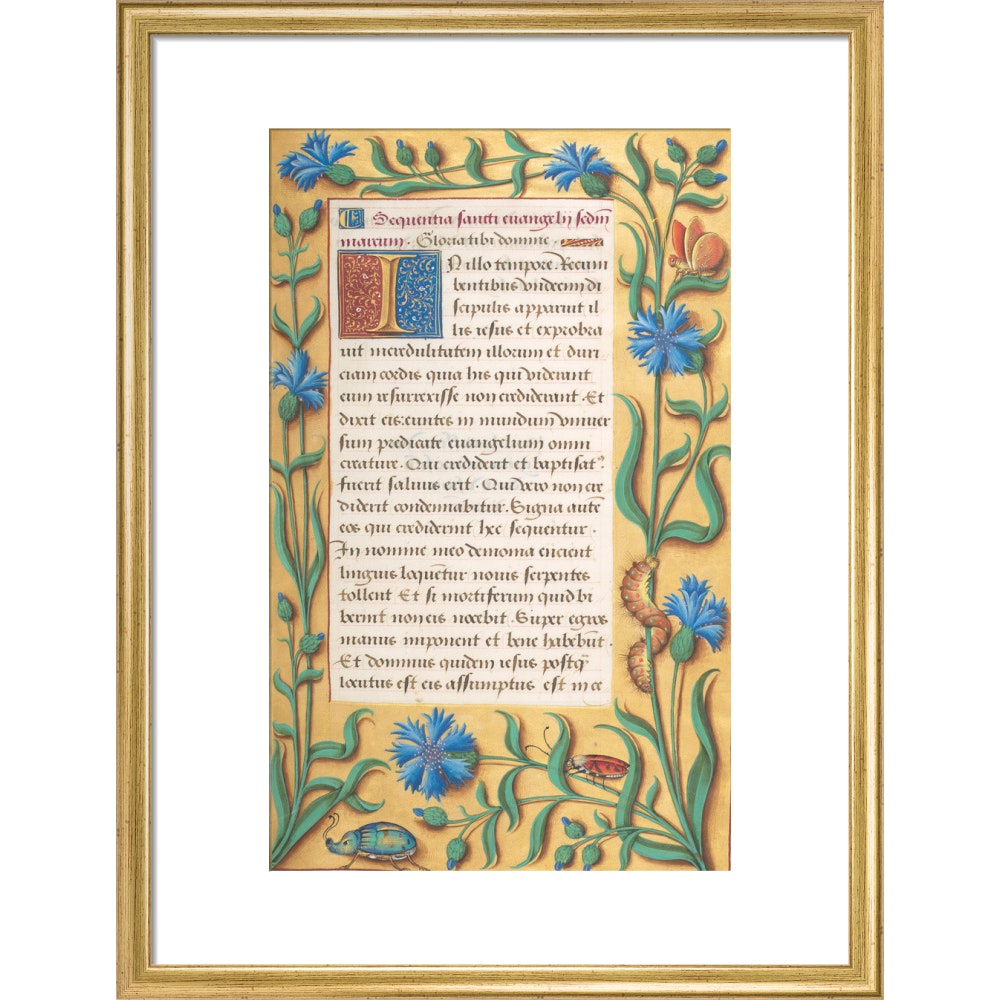 Book of Hours print in gold frame