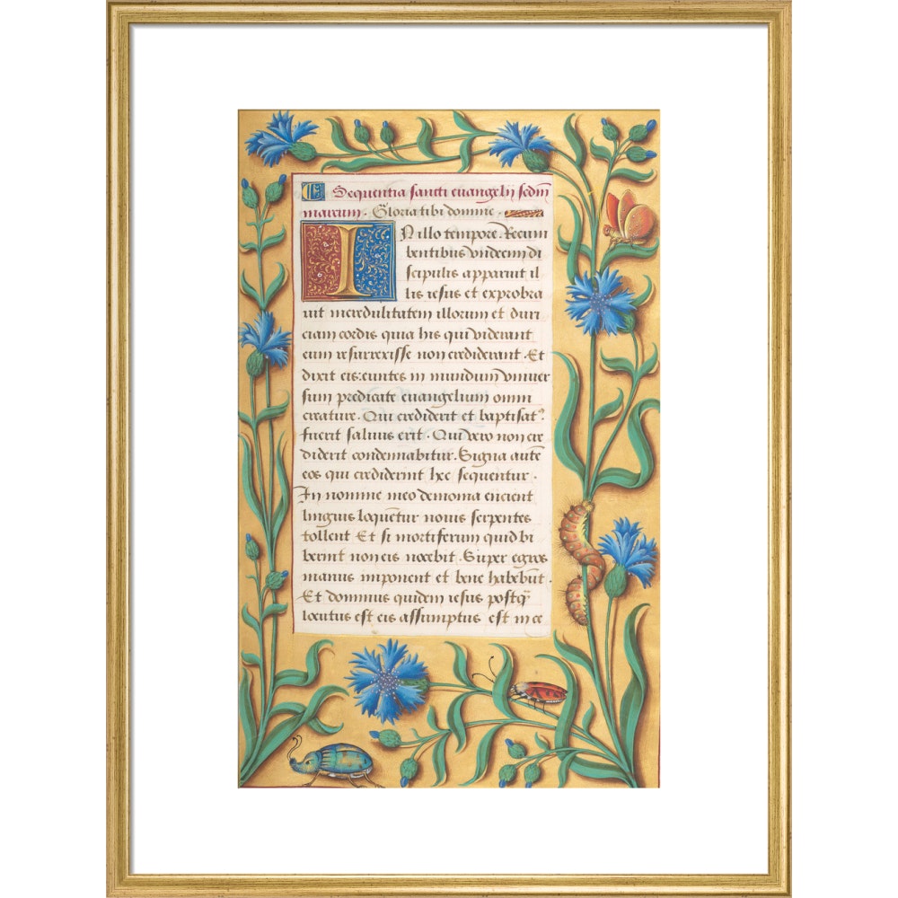 Book of Hours print in gold frame