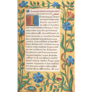 Book of Hours print