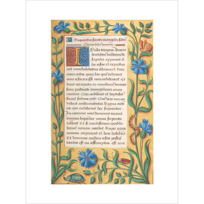 Book of Hours print unframed