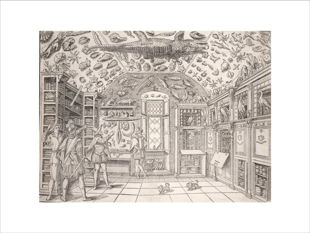 Cabinet of Curiosities print