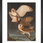 American Barn Owls print
