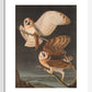 American Barn Owls print