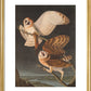 American Barn Owls print