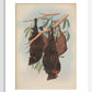 Funereal Vampire Bats print