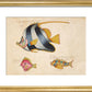 Three Fish print