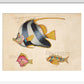 Three Fish print