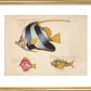 Three Fish print