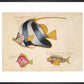 Three Fish print