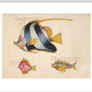 Three Fish print