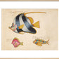 Three Fish print
